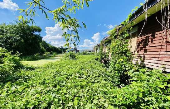 รูป ขาย ที่ดิน บางใหญ่ เสาธงหิน เนื้อที่ 1 ไร่ 1 งาน 22 ตรว - รูปที่ 7/11