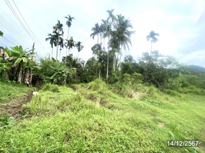 picture LAND for sale  Khuan Sato Khuan Don Satun - 5/24