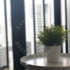 listing thumbnail image 13
