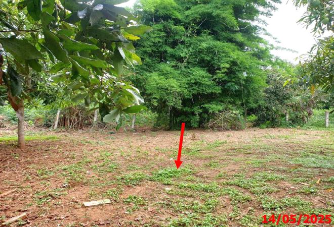 รูป บ้านเดี่ยว สำหรับขาย - ป่าไผ่ ลี้ ลำพูน - รูปที่ 8/28