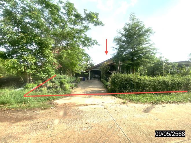 รูป บ้านเดี่ยว สำหรับขาย - ศรีสุทโธ บ้านดุง อุดรธานี - รูปที่ 6/20
