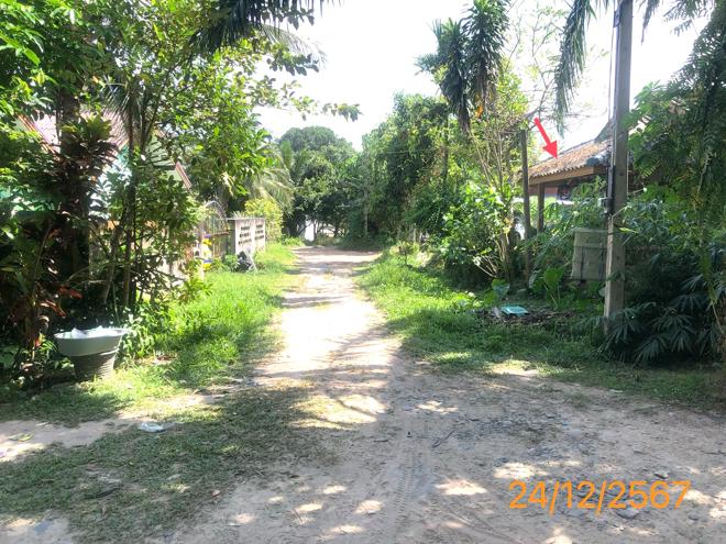 รูป บ้านเดี่ยว สำหรับขาย - ศาลาด่าน เกาะลันตา กระบี่ - รูปที่ 5/16