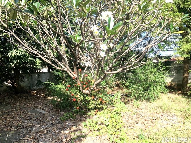 picture HOME for sale  Khok Sawang Muang Saraburi Saraburi - 10/30
