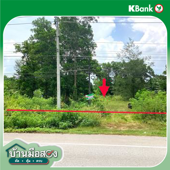 picture LAND for sale  Khron Sawi Chumphon - 16/18