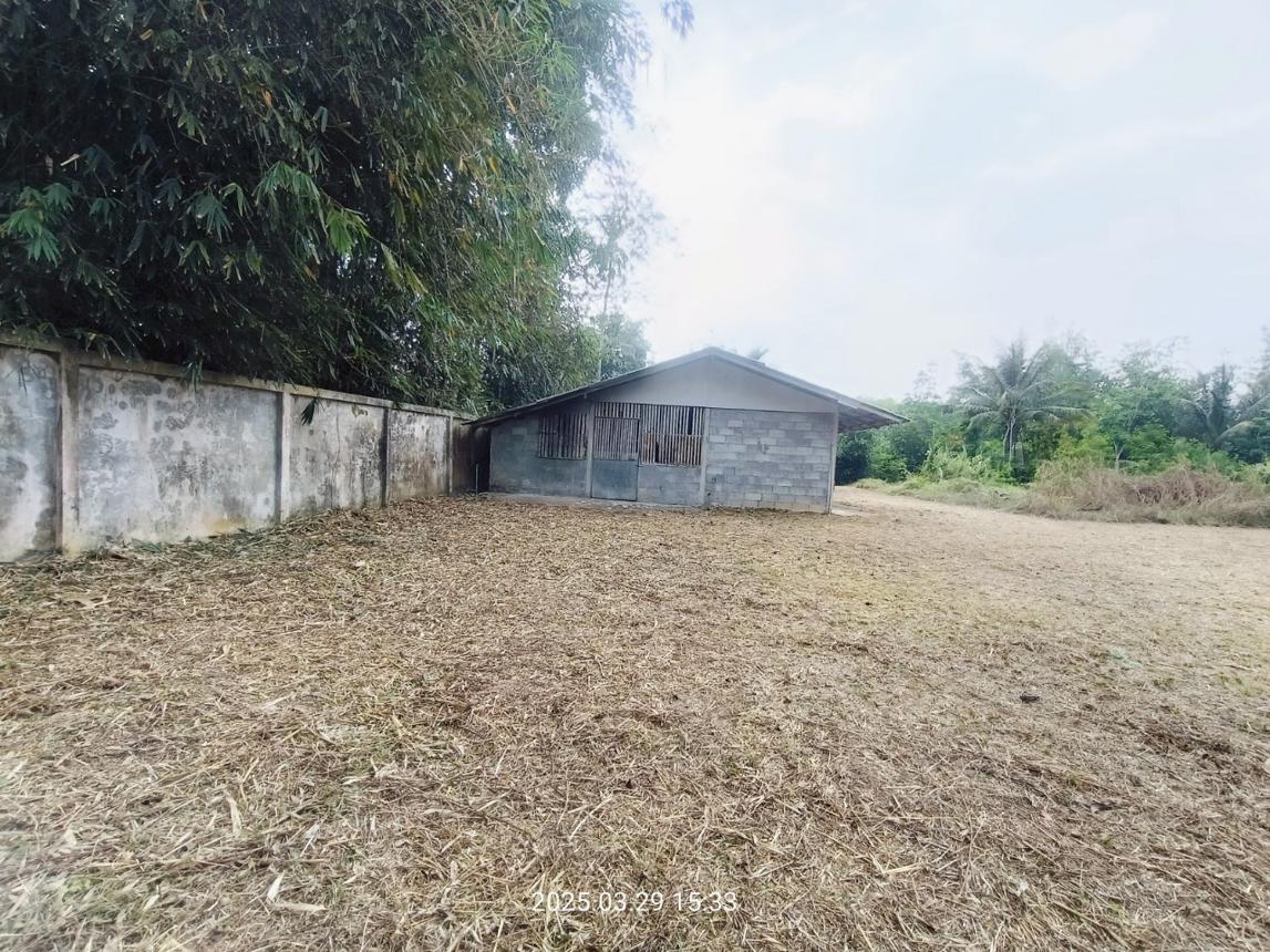รูป บ้านเดี่ยว สำหรับขาย - ห้วยน้ำขาว คลองท่อม กระบี่ - รูปที่ 35/48