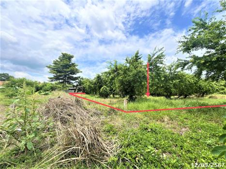 picture LAND for sale  Lamnarai Chai Badan Lopburi - 11/14