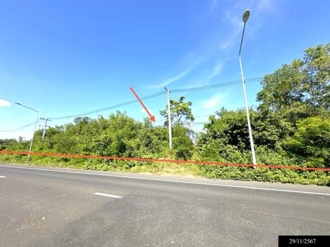 picture LAND for sale  Dong Khan Yai Kham Khuan Kaeo Yasothon - 21/24