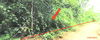 listing thumbnail image 32