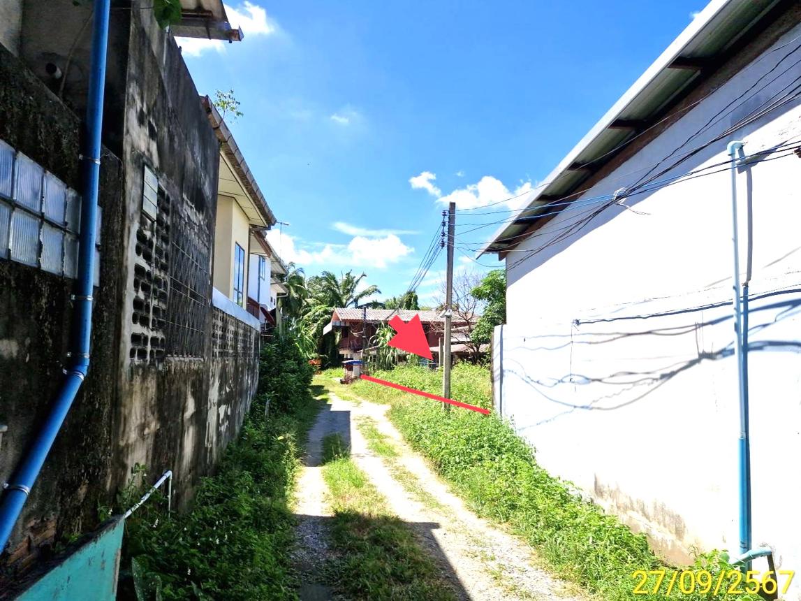 picture LAND for sale  Pho Sadet Muang Nakhon Sri Thammarat Nakhon Sri Thammarat - 14/18