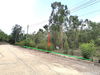 listing thumbnail image 11
