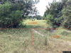 listing thumbnail image 20