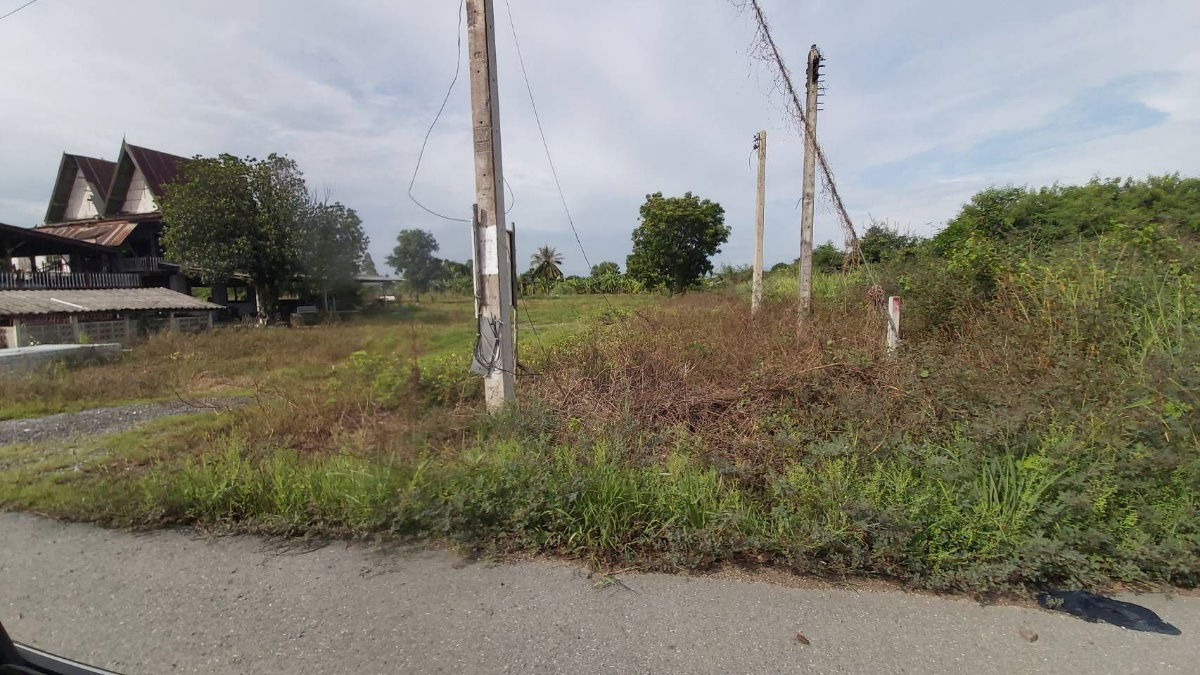รูป ขายที่ดินเปล่า 51-0-47 ไร่ ติดถนน 4 เลน ต.บ้านพริก อ.บ้านนา จ.นครนายก ราคาดี - รูปที่ 3/7