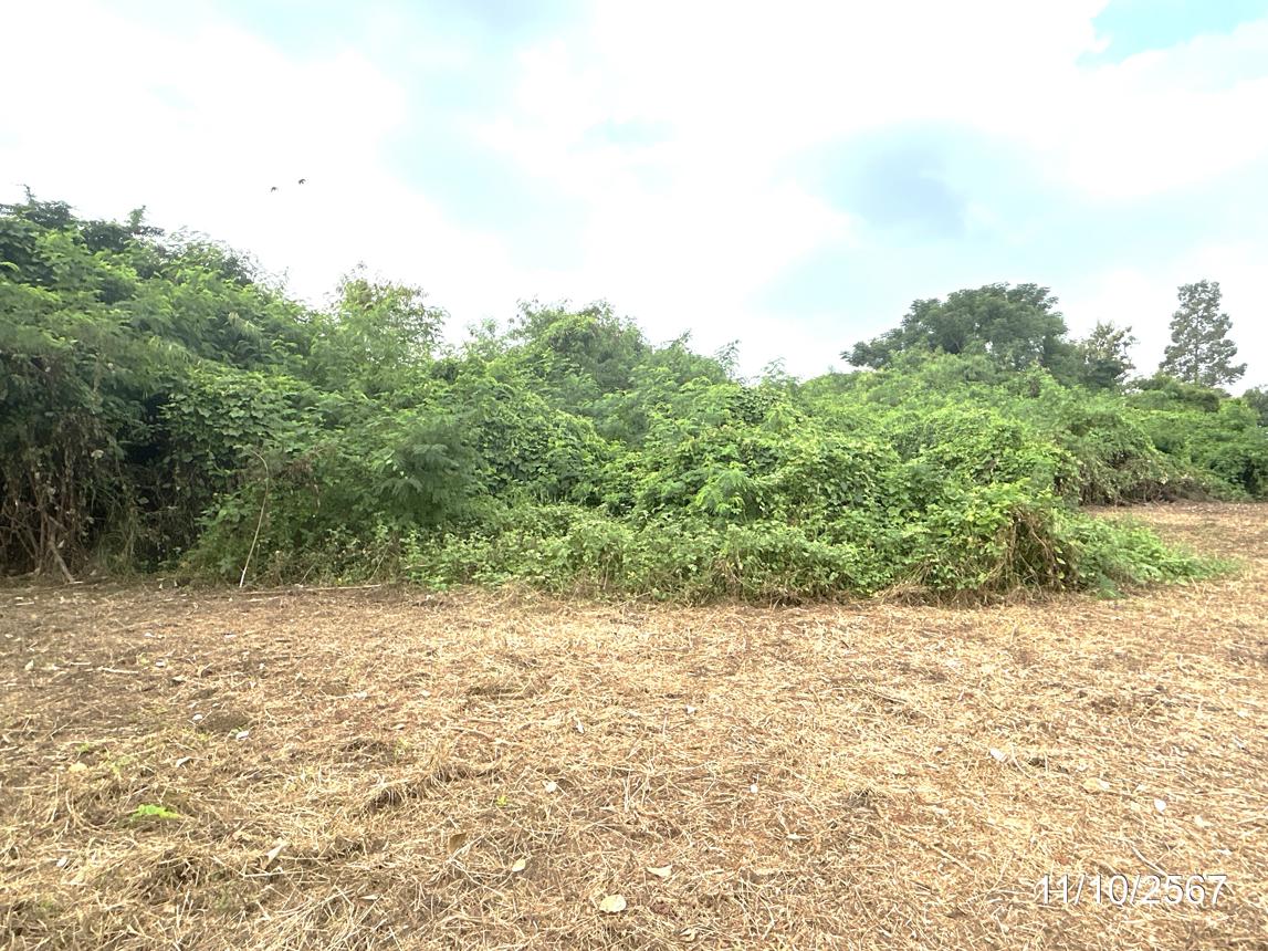 รูป บ้านเดี่ยว สำหรับขาย - ท่าช้าง พรหมพิราม พิษณุโลก - รูปที่ 32/38