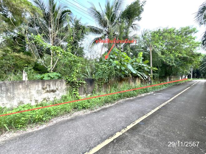 picture HOME for sale  Khunthale Muang Surat Thani Surat Thani - 20/44