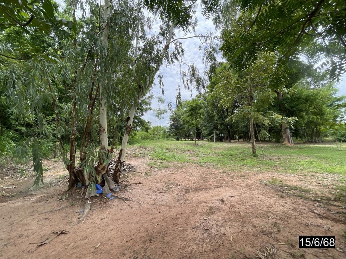 รูป ที่ดินว่างเปล่า สำหรับขาย - บ้านหว้า เมืองขอนแก่น ขอนแก่น - รูปที่ 15/24