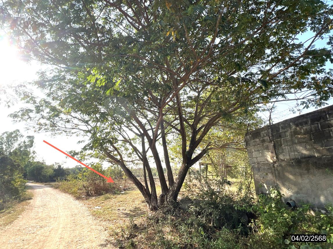 รูป ที่ดินว่างเปล่า สำหรับขาย - ท่าพระ เมืองขอนแก่น ขอนแก่น - รูปที่ 13/20