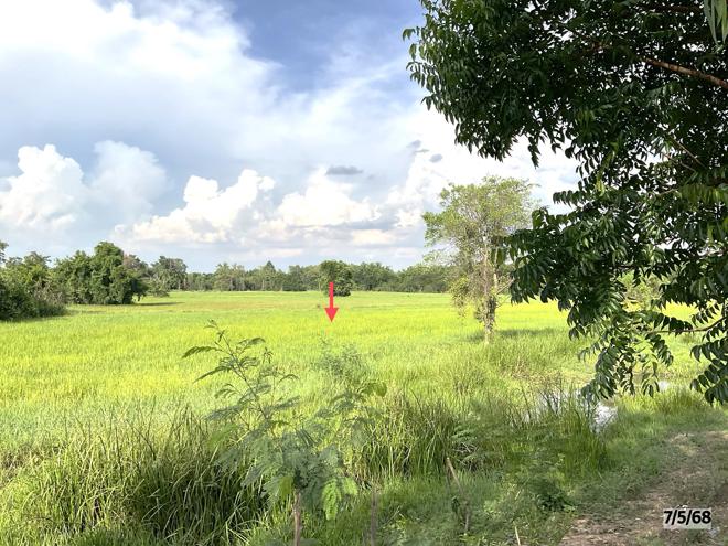 picture LAND for sale  Lup Muang Kalasin Kalasin - 7/22