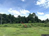 listing thumbnail image 17