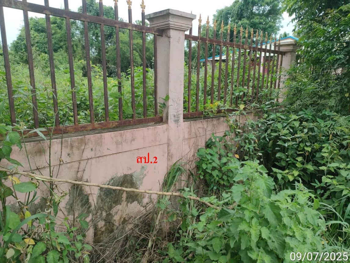 รูป บ้านเดี่ยว สำหรับขาย - หนองไผ่ นาดูน มหาสารคาม - รูปที่ 21/28