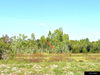 listing thumbnail image 15