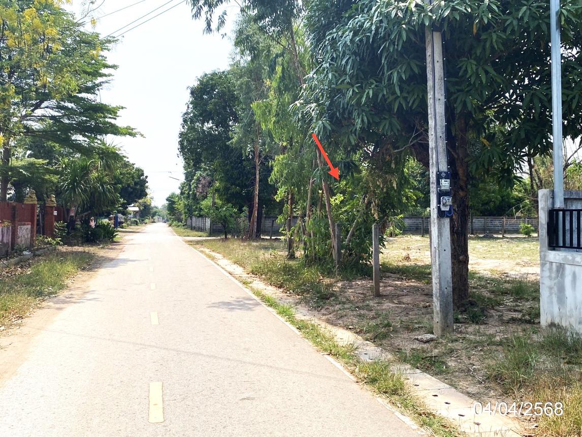 รูป ที่ดินว่างเปล่า สำหรับขาย - หนองใหญ่ โพนทอง ร้อยเอ็ด - รูปที่ 19/24