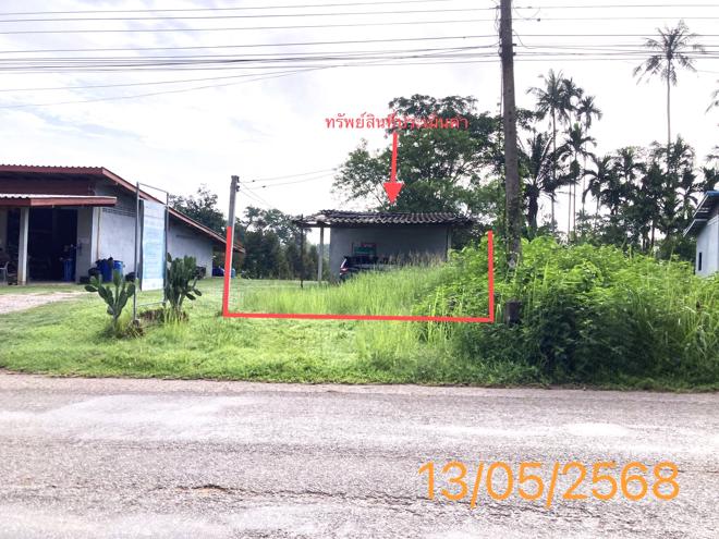 รูป บ้านเดี่ยว สำหรับขาย - พรุเตียว เขาพนม กระบี่ - รูปที่ 1/16