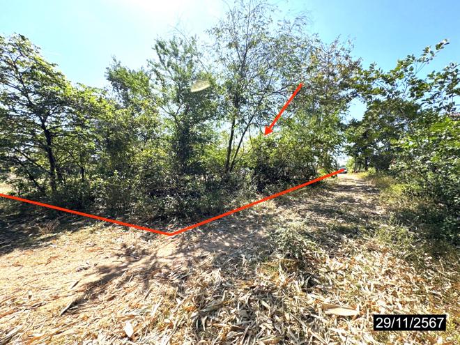 picture HOME for sale  Se Pet Trakan Phutphon Ubon Ratchathani - 13/40