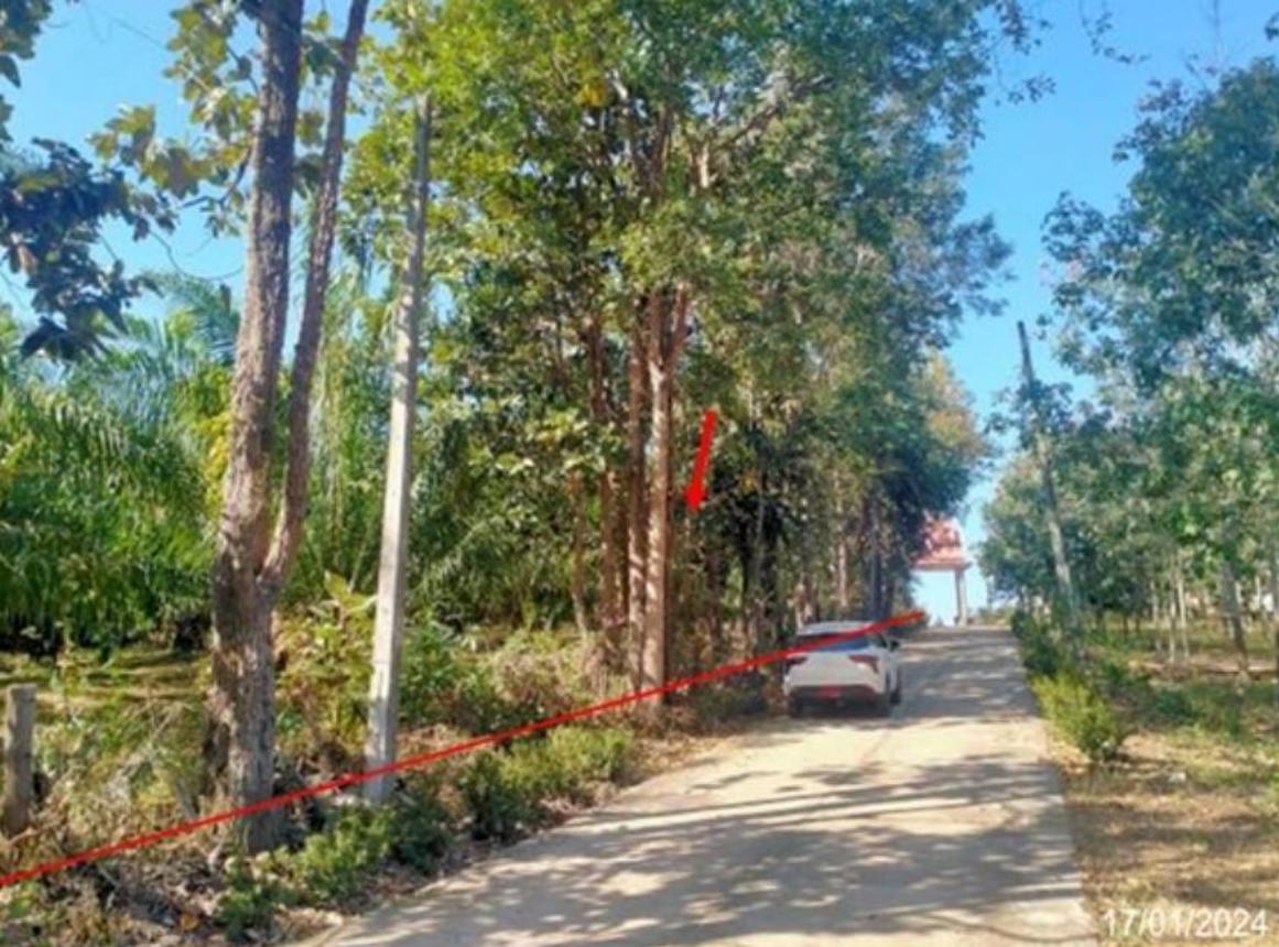 รูป บ้านเดี่ยว สำหรับขาย  นางัว น้ำโสม อุดรธานี - รูปที่ 10/16