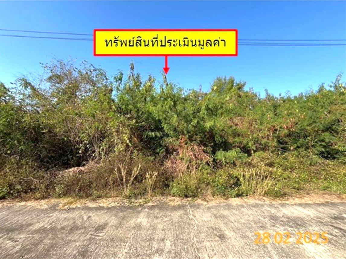 picture LAND for sale  Pong Sang Thong Muang Lampang Lamphang - 10/18