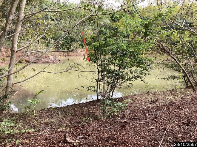 picture LAND for sale  Song Hong Muang Nong Khai Nongkai - 12/28