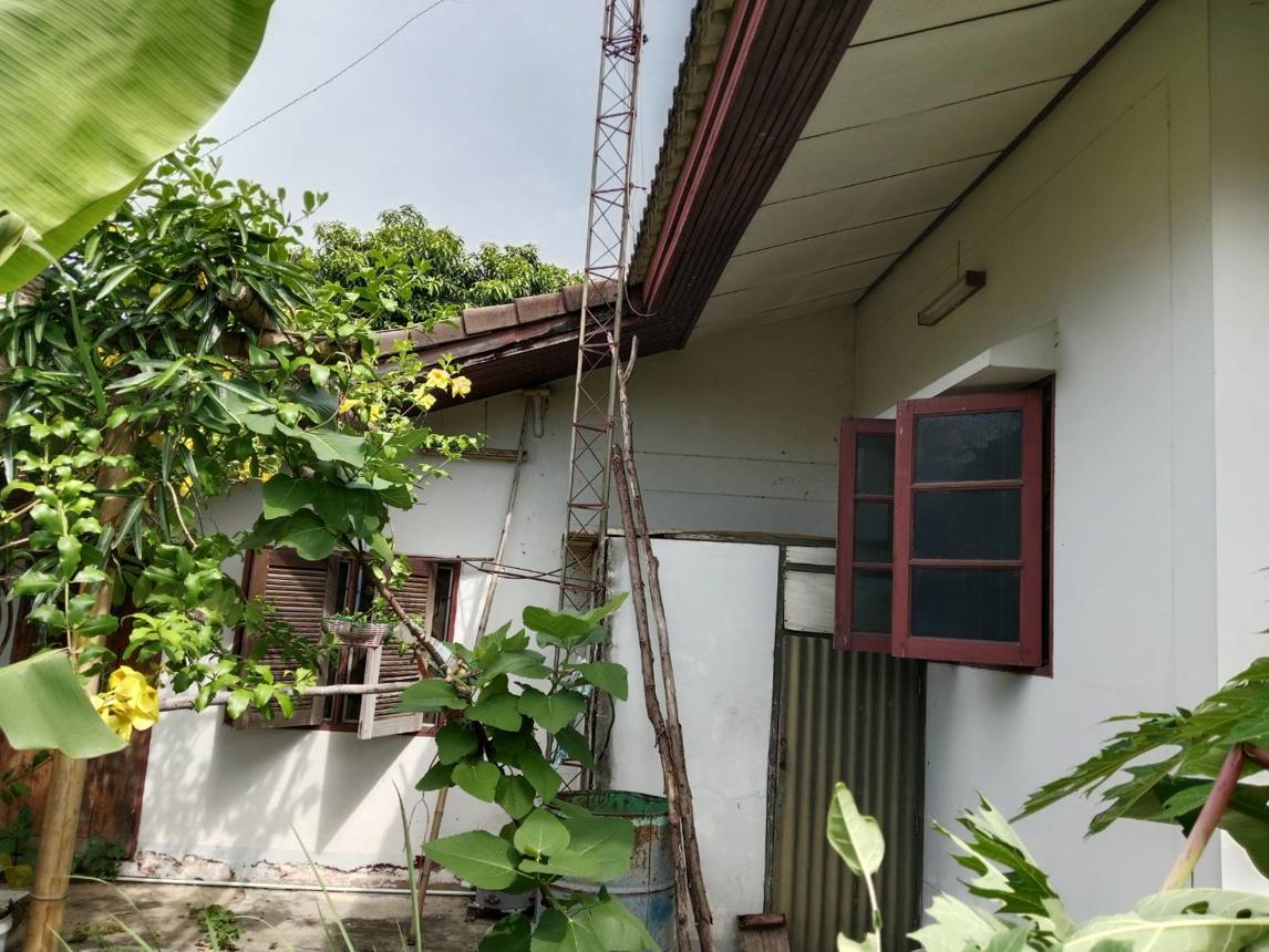 รูป บ้านเดี่ยว สำหรับขาย เฉลิมพระเกียรติ (ลบ.1206) ท่าศาลา เมืองลพบุรี ลพบุรี - รูปที่ 10/16