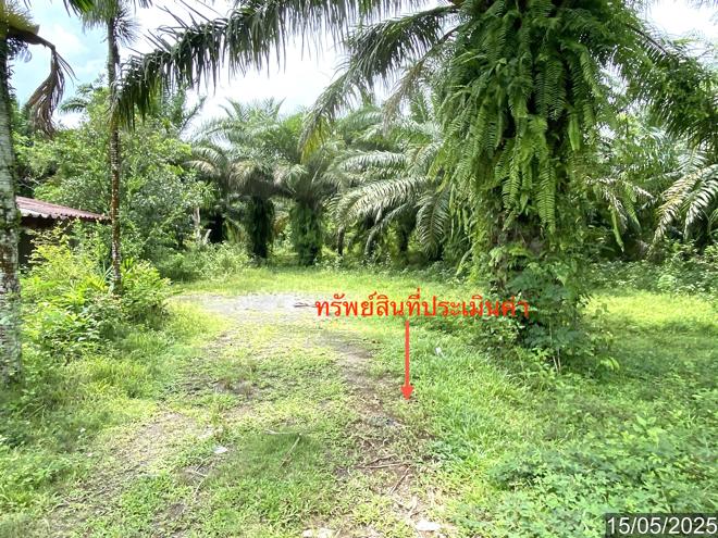 รูป บ้านเดี่ยว สำหรับขาย - บ้านโพธิ์ เมืองตรัง ตรัง - รูปที่ 10/32
