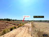 listing thumbnail image 38