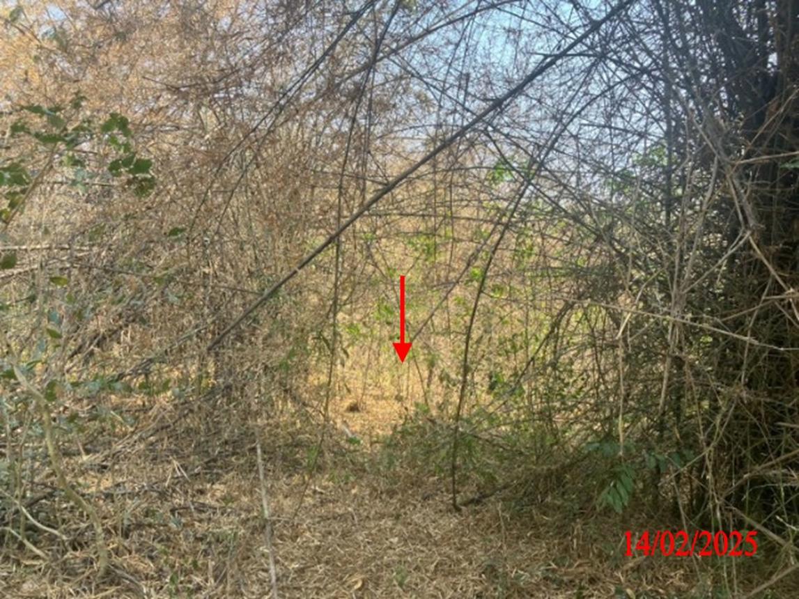 picture LAND for sale  Phichai Muang Lampang Lamphang - 17/24