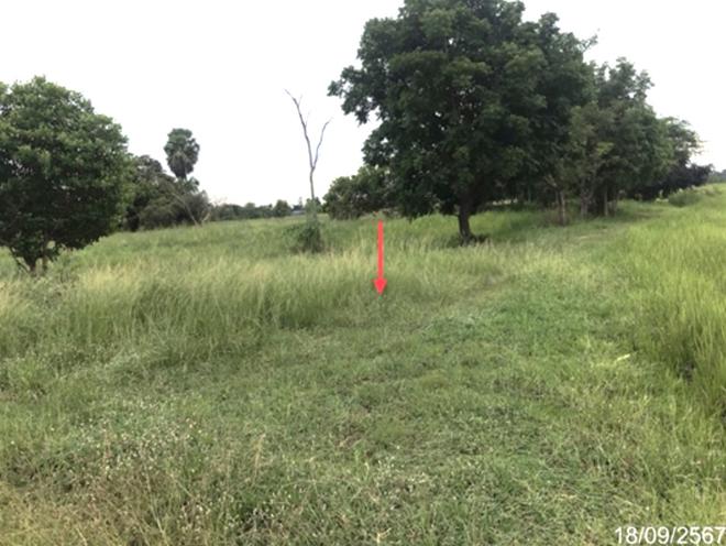 picture LAND for sale  Yo Kham Khuan Kaeo Yasothon - 8/20