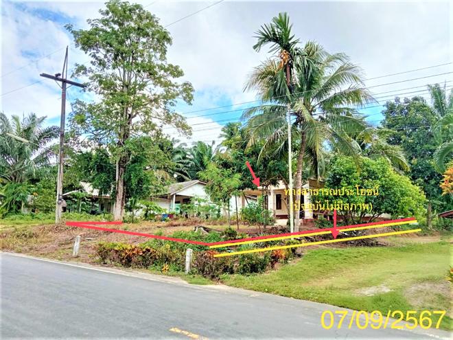 รูป บ้านเดี่ยว สำหรับขาย - คลองท่อมใต้ คลองท่อม กระบี่ - รูปที่ 6/32