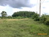 listing thumbnail image 20