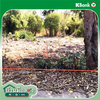 listing thumbnail image 19