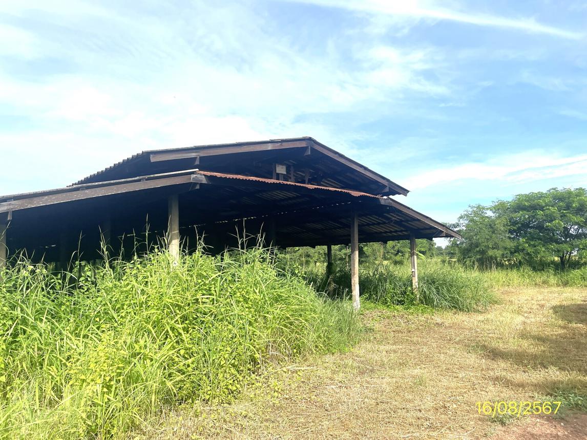 รูป บ้านเดี่ยว สำหรับขาย - มะต้อง พรหมพิราม พิษณุโลก - รูปที่ 31/44