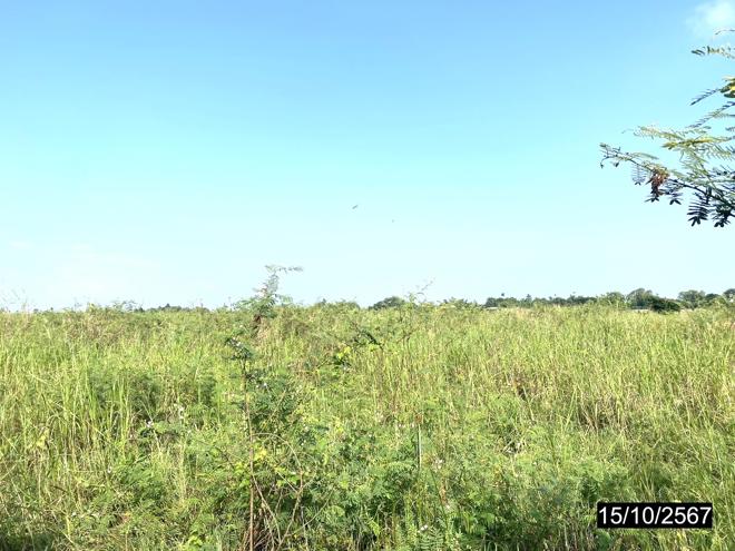 picture LAND for sale  Wang Phikun Wang Thong Phitsanulok - 6/16