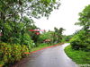 listing thumbnail image 39
