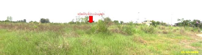 รูป ที่ดินว่างเปล่า สำหรับขาย - บ้านฉาง บ้านฉาง ระยอง - รูปที่ 8/24