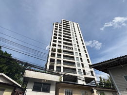 Project Polo Park Picture - 5/6