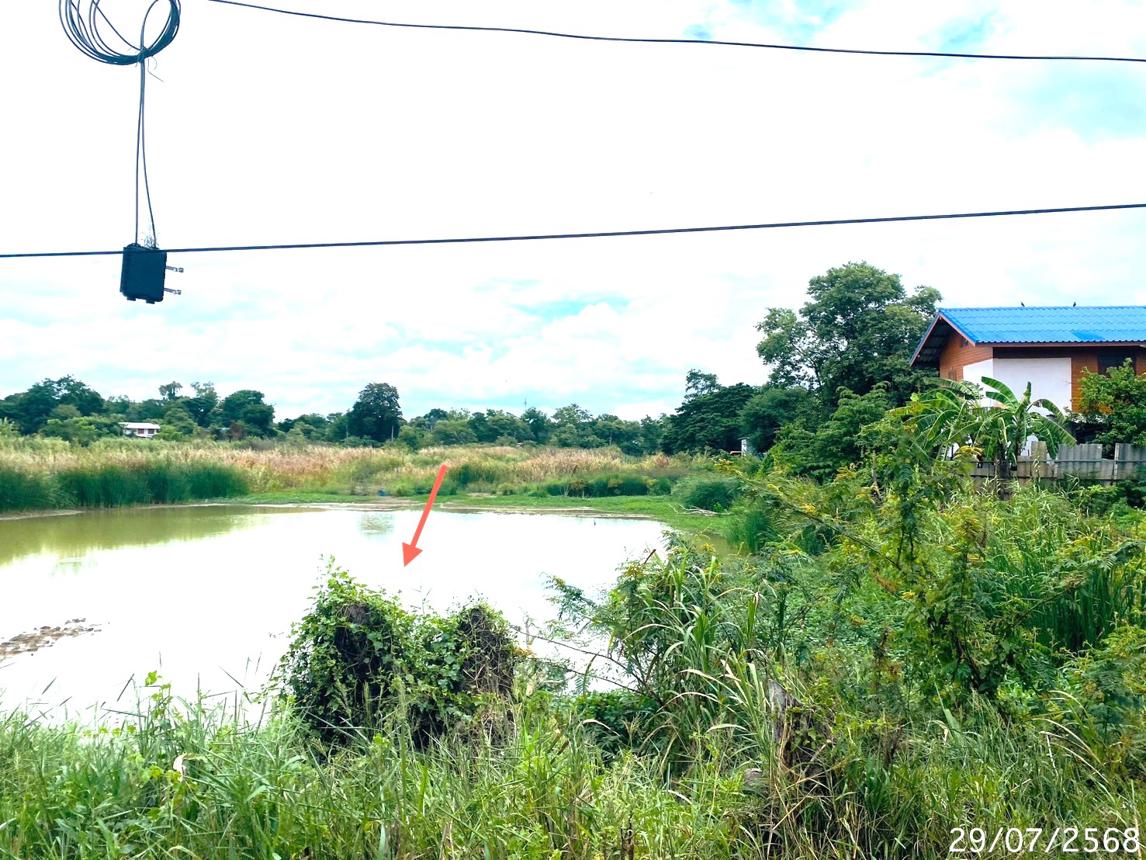 picture LAND for sale  Khlong Sra Bua Phra Nakhon Sri Ayutthaya Phra Nakhon Sri Ayutthaya - 15/26
