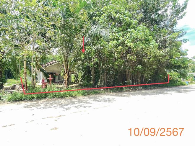 รูป บ้านเดี่ยว สำหรับขาย - หน้าเขา เขาพนม กระบี่ - รูปที่ 10/24