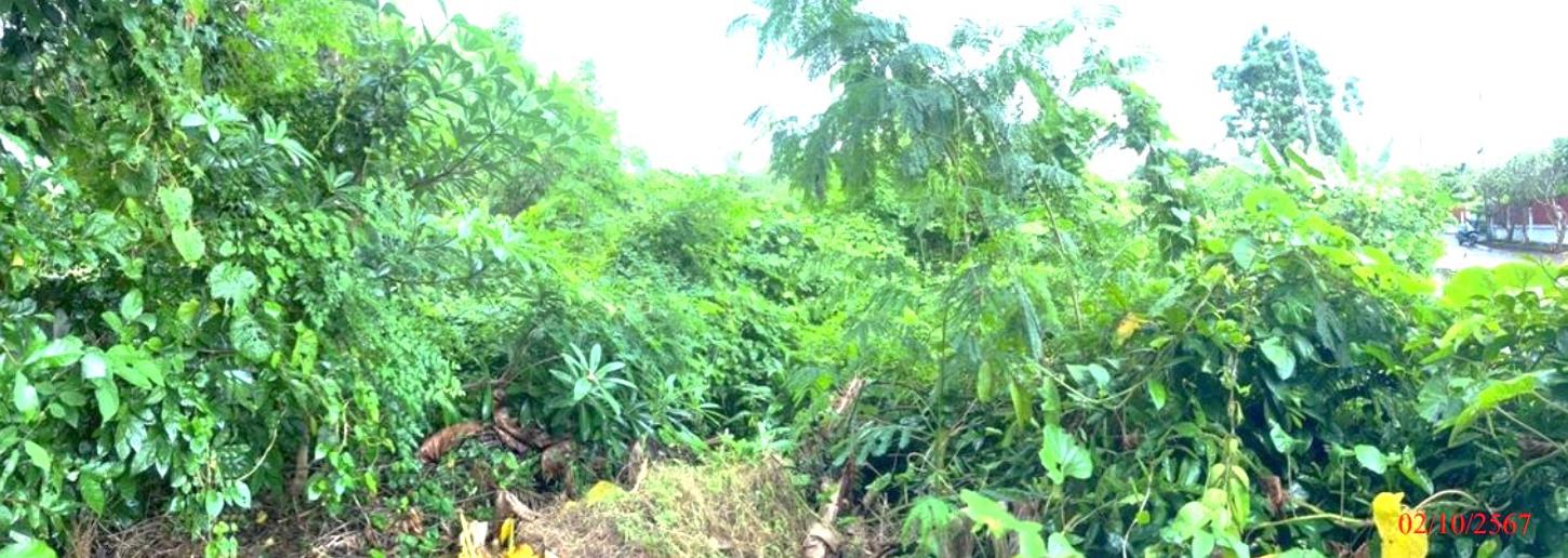 picture LAND for sale  Phichai Muang Lampang Lamphang - 12/20