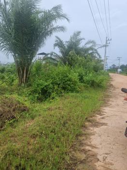picture LAND for sale  Nong Yat Muang Nakhon Phanom Nakhon Phanom - 9/12