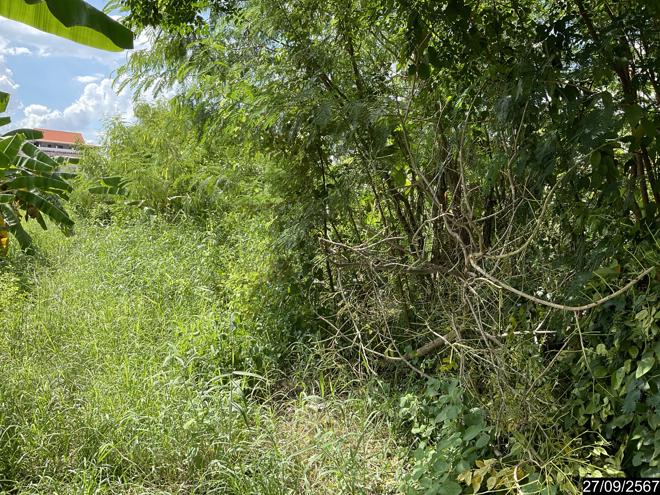 picture LAND for sale  Nai Muang Muang Khon Kaen Khon Kaen - 8/20