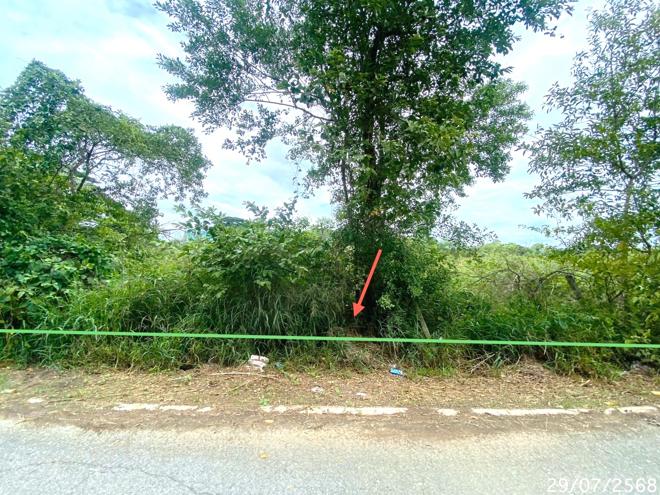 picture LAND for sale  Khlong Sra Bua Phra Nakhon Sri Ayutthaya Phra Nakhon Sri Ayutthaya - 9/26