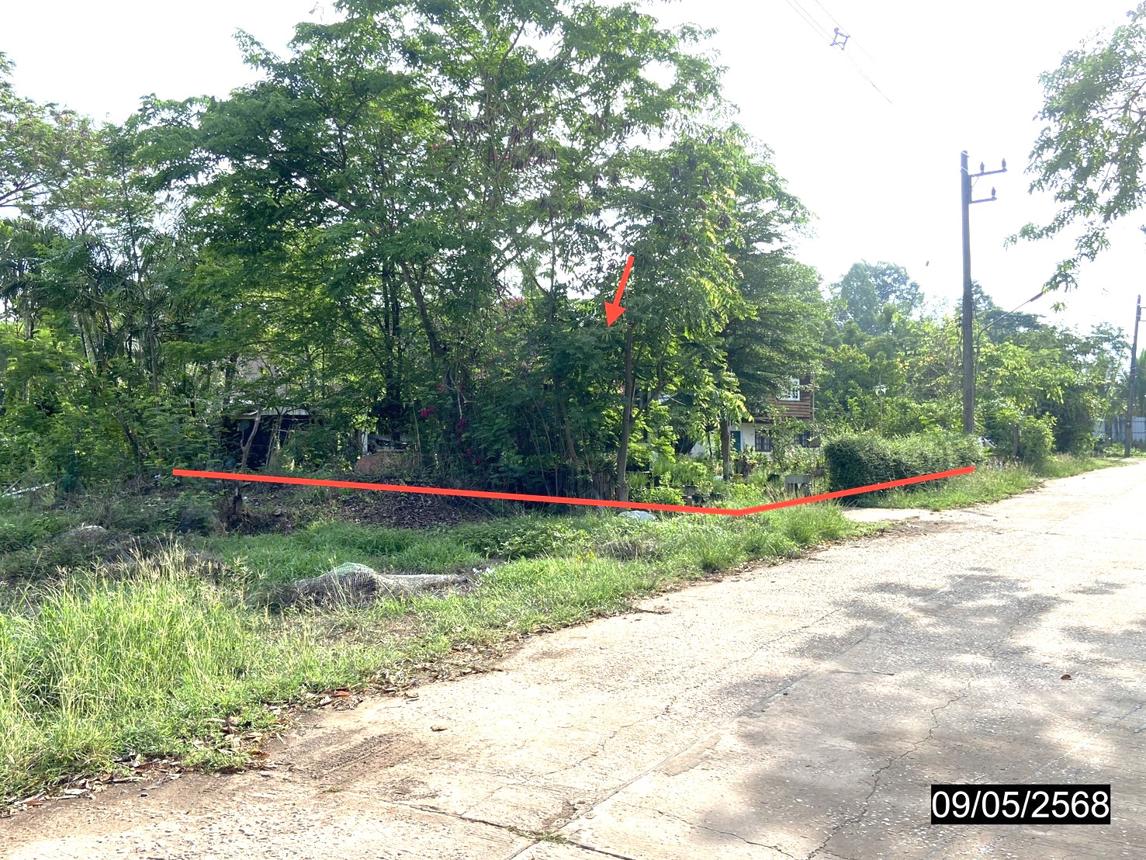 รูป บ้านเดี่ยว สำหรับขาย - ศรีสุทโธ บ้านดุง อุดรธานี - รูปที่ 13/20
